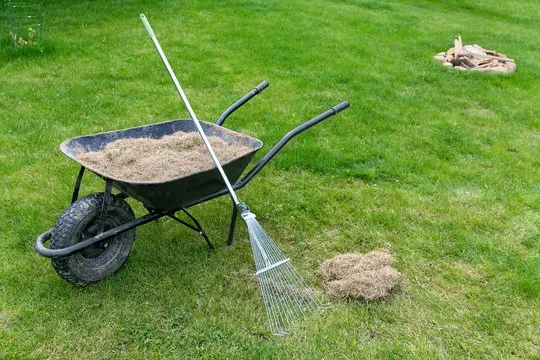 Dethatching Your Lawn in Fayetteville, NC: When, Why, and How to